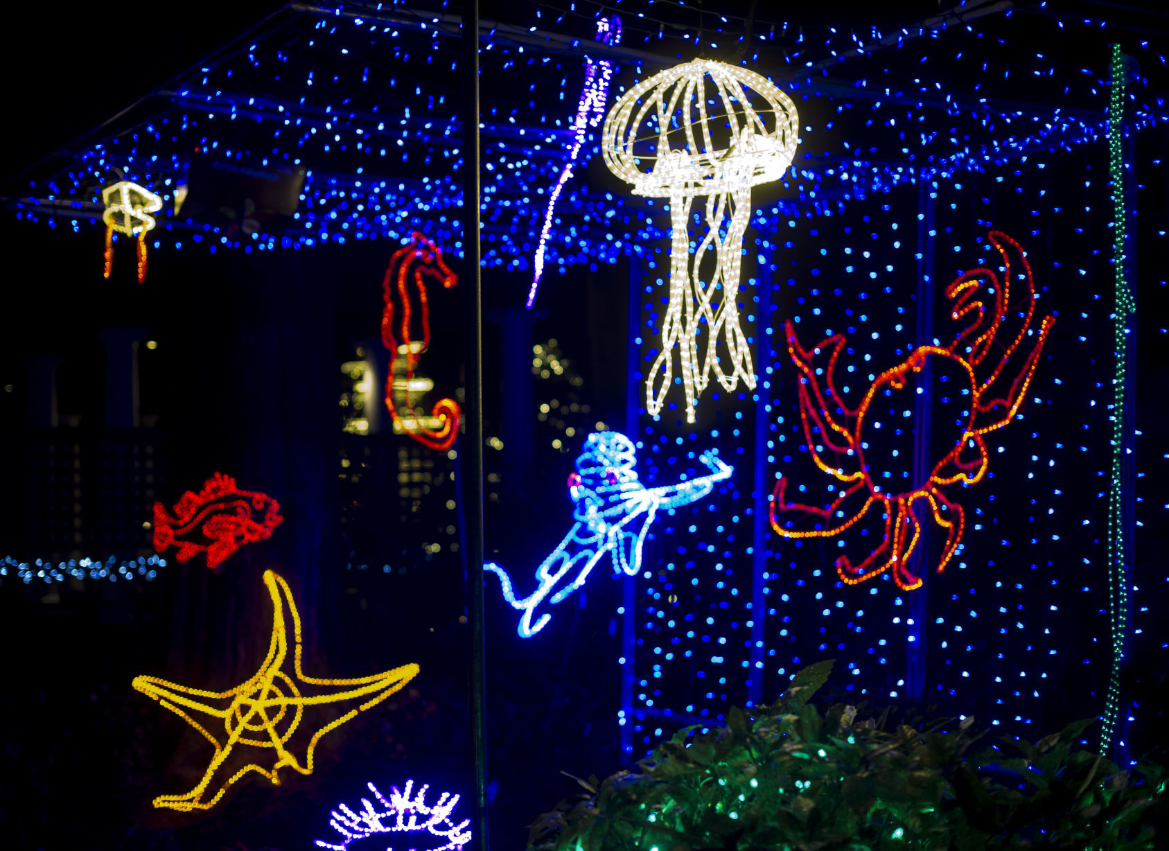 Shore Acres Holiday Display